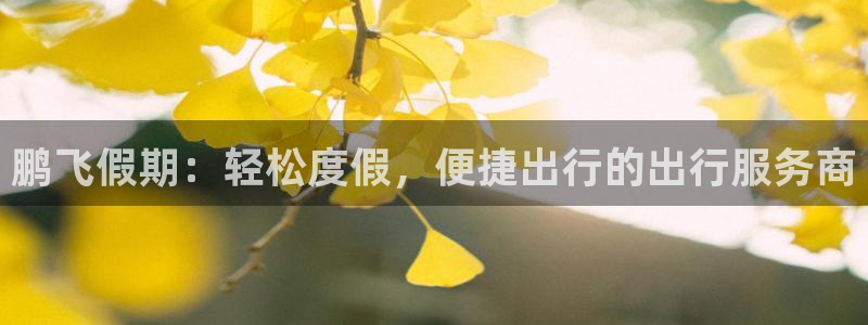 海角社区破解版在线：鹏飞假期：轻松度假，