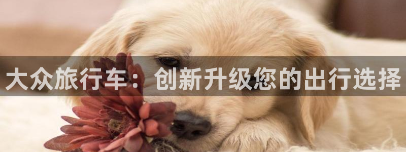 海角社区黑料不打烊：大众旅行车：创新升级