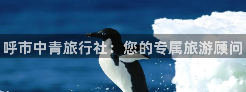 海角社区在线下载：呼市中青旅行社：您的专