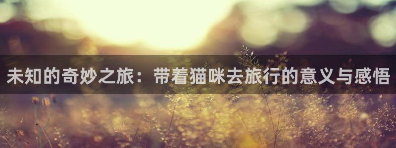 hjcbc海角社区：未知的奇妙之旅：带着