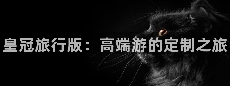 海角社区真实：皇冠旅行版：高端游的定制之