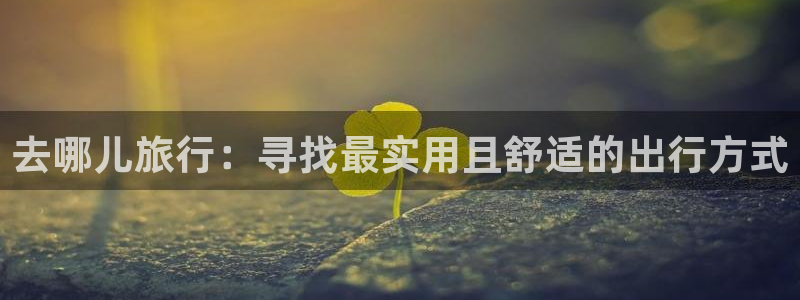 “海角社区在线观看.：去哪儿旅行：寻找最实