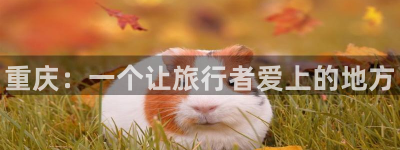 “海角社区最新在线：重庆：一个让旅行者爱上